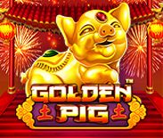 Golden Pig